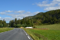 Языковой барьер. С квадратными глазами по Норвегии.