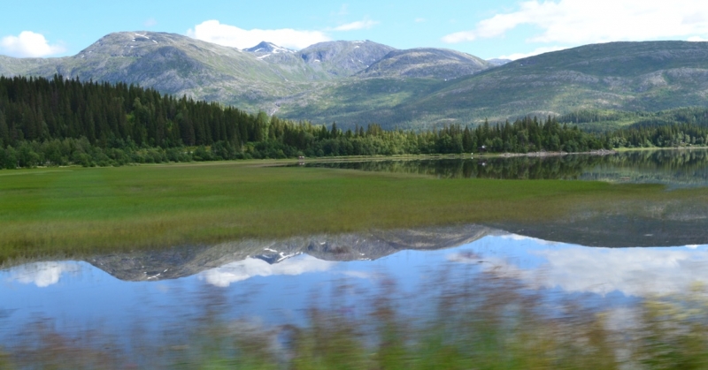 Языковой барьер. С квадратными глазами по Норвегии.