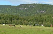 Языковой барьер. С квадратными глазами по Норвегии.