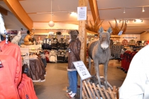 Языковой барьер. С квадратными глазами по Норвегии.