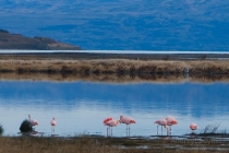 Май в Аргентине. Buenos, Calafate, Chalten, Iguasu, Salta, Jujuy