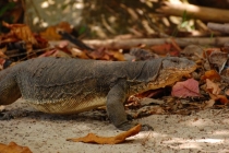 Малайзия в марте 2013 года. Борнео-Лангкави. Гонконг-Макао.