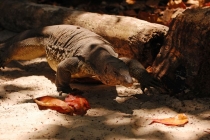 Малайзия в марте 2013 года. Борнео-Лангкави. Гонконг-Макао.