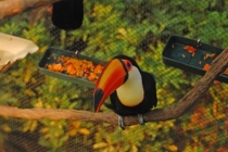 Малайзия в марте 2013 года. Борнео-Лангкави. Гонконг-Макао.