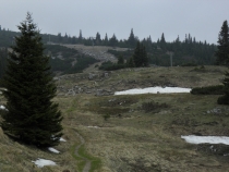 Что кроме Вены-2