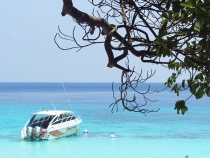 Галопом по Европам (Пхукет+Као Сок+Краби+Пи-Пи Дон). Текст+фотоотчет