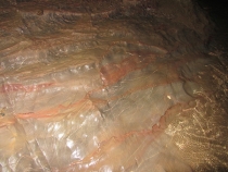 Галопом по Европам (Пхукет+Као Сок+Краби+Пи-Пи Дон). Текст+фотоотчет