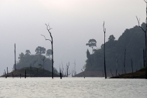 Галопом по Европам (Пхукет+Као Сок+Краби+Пи-Пи Дон). Текст+фотоотчет