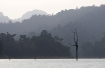 Галопом по Европам (Пхукет+Као Сок+Краби+Пи-Пи Дон). Текст+фотоотчет
