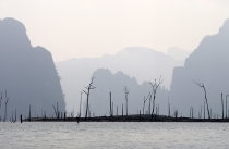 Галопом по Европам (Пхукет+Као Сок+Краби+Пи-Пи Дон). Текст+фотоотчет