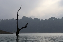 Галопом по Европам (Пхукет+Као Сок+Краби+Пи-Пи Дон). Текст+фотоотчет