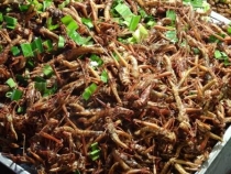 Далекий Тайланд/Патайя