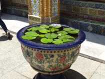 Далекий Тайланд/Патайя