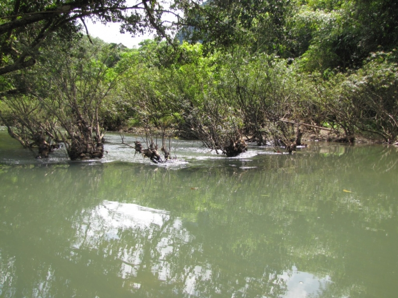 Река Као Сок 15