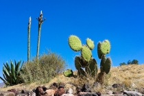 Ураганом по Мексике за 11 дней: 5000км, 17 городов, КИТЫ, пирамиды, El Chepe