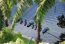 С детьми 12.12.12 - 30.01.13 (Бкк - Хуа Хин - Пхукет - Бкк) + (Виза-ран)