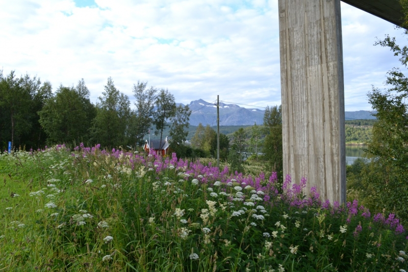 Языковой барьер. С квадратными глазами по Норвегии.