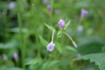 Языковой барьер. С квадратными глазами по Норвегии.