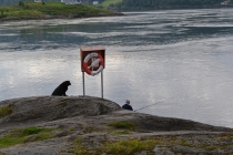 Языковой барьер. С квадратными глазами по Норвегии.