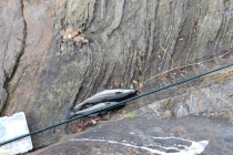 Языковой барьер. С квадратными глазами по Норвегии.