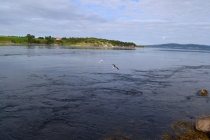 Языковой барьер. С квадратными глазами по Норвегии.