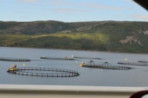 Языковой барьер. С квадратными глазами по Норвегии.