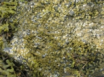 Языковой барьер. С квадратными глазами по Норвегии.