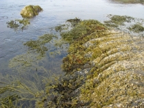 Языковой барьер. С квадратными глазами по Норвегии.