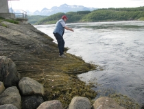 Языковой барьер. С квадратными глазами по Норвегии.