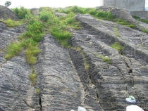 Языковой барьер. С квадратными глазами по Норвегии.