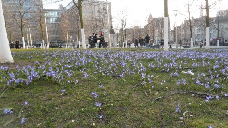 Ночная стыковка в Брюсселе (апрель 2013)