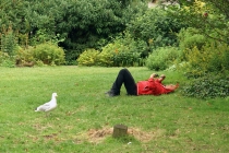 Drive on left (Англия-Шотландия и обратно, лето 2012)