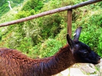 Воспоминания о Перу и Эквадоре. Как это было 3 года назад.