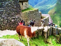 Воспоминания о Перу и Эквадоре. Как это было 3 года назад.