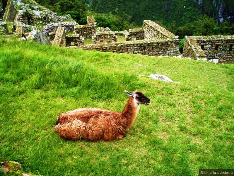 Воспоминания о Перу и Эквадоре. Как это было 3 года назад.