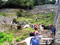 Воспоминания о Перу и Эквадоре. Как это было 3 года назад.