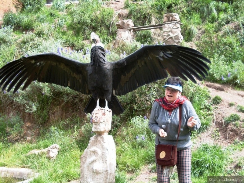 Воспоминания о Перу и Эквадоре. Как это было 3 года назад.