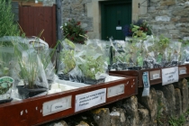 Drive on left (Англия-Шотландия и обратно, лето 2012)