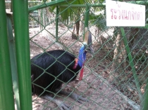 Впечатлениям вдогонку Бангкок-КоЧанг-Сием-Риеп-Бангкок