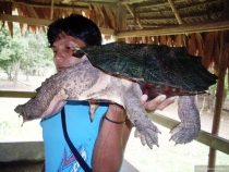 Воспоминания о Перу и Эквадоре. Как это было 3 года назад.