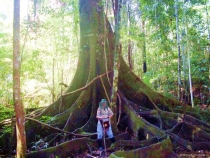 Воспоминания о Перу и Эквадоре. Как это было 3 года назад.