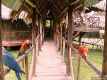 Воспоминания о Перу и Эквадоре. Как это было 3 года назад.