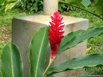 Воспоминания о Перу и Эквадоре. Как это было 3 года назад.