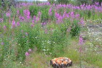 Языковой барьер. С квадратными глазами по Норвегии.