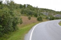 Языковой барьер. С квадратными глазами по Норвегии.