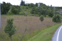 Языковой барьер. С квадратными глазами по Норвегии.