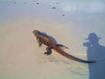 Воспоминания о Перу и Эквадоре. Как это было 3 года назад.