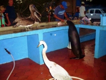 Воспоминания о Перу и Эквадоре. Как это было 3 года назад. Воспоминания о Перу и Эквадоре. Как это было 3 года назад.