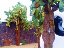 Воспоминания о Перу и Эквадоре. Как это было 3 года назад.