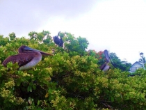 Воспоминания о Перу и Эквадоре. Как это было 3 года назад. Воспоминания о Перу и Эквадоре. Как это было 3 года назад.